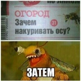 Адаптация прекрасна