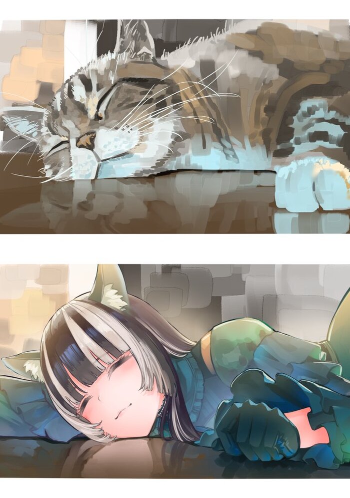 КошкоРаден
