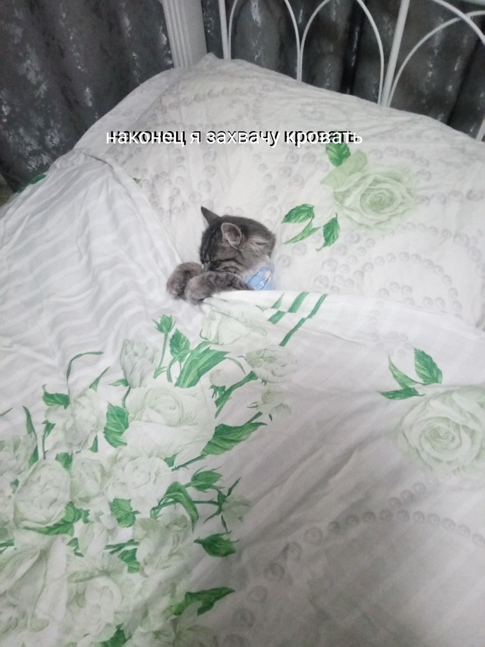 Пижамка – обязательно.
