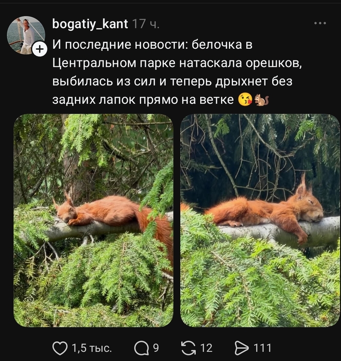 У неё была тяжёлая неделя