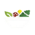 Salatizm