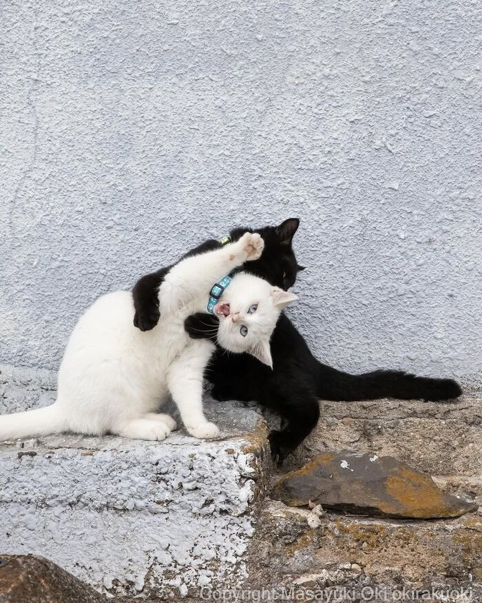Удушающий захват