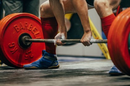 Россия впервые с 2022 года проведет чемпионат мира по олимпийскому виду спорта