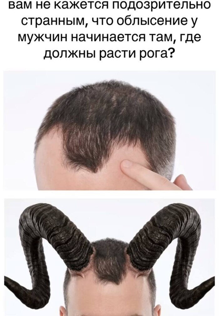 � ����� ����