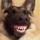 ������ ������������ Jakero
