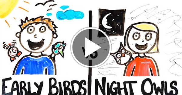 Вава. Sunrise цитата. Найт оул (night owl). It was an early. A night owl person.