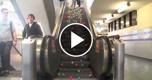 Clown Throwing Pie On Escalator