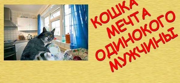 Был бы у меня такой кот. Был бы у меня такой кот муж не нужен.