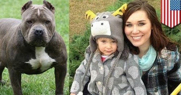 Спатс Маккензи пес. Женщина с питбулем. Дочь питбуля. Спадс Маккензи собака