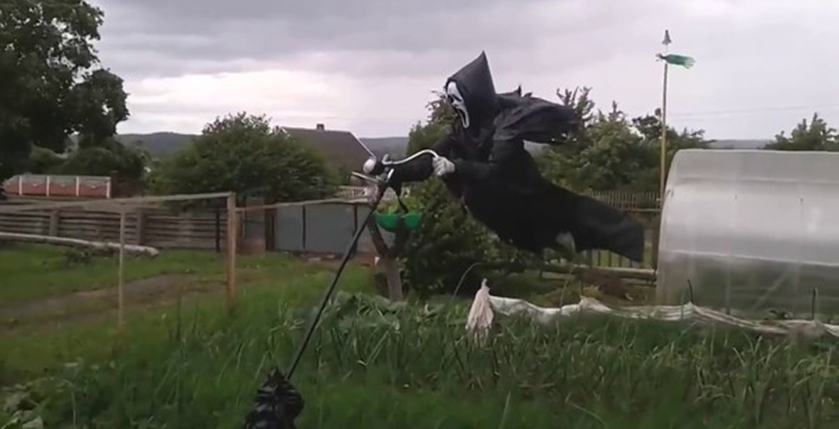 Пугало на дачу крик. Летающее пугало на огороде. Летающее чучело в огороде. Пугал крик с рулем. Пугало крик.